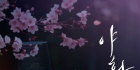 野画集 야화첩/夜画帐 / Painter of the Night韩国[2026][简体中文]